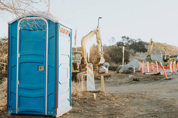 Best Affordable portable toilet rental  in Mount Olive, IL